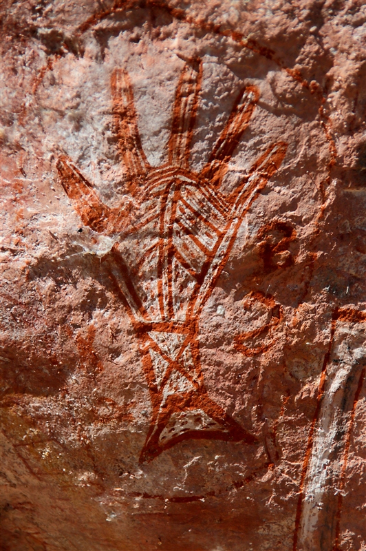 _800Mt Borradaile - Cooper Creek_5706_m - Copy